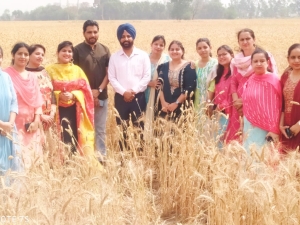 Baisakhi-Celebration-4